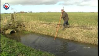 Fsp Friese Taal Van Groot Belang Om Echte Fries Te Zijn