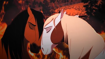 READY FOR IT? } Full Animash MEP