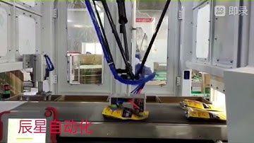 Automatic Case Packing Cell for Snacks in Doypack(stand-up pouch) by Delta Robot(Spider Robot)