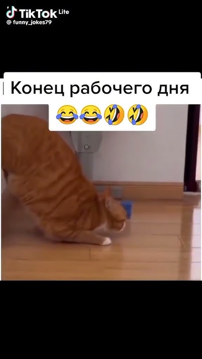 конец рабочего дня 😅👍¯\_(ツ)_/¯ - YouTube