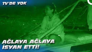 Evri̇mi̇n Yokluk Adasi Sinavi Survivor All Star 2022 - 87. Bölüm