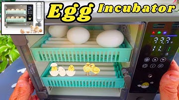 Egg Incubator for Hatching Chickens - Setup/Review