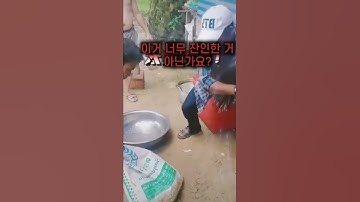 약혐) 학대 장면 내부폭로