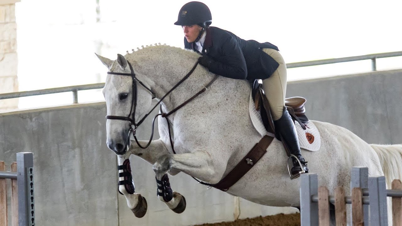 Equestrian: Highlights | A&M 14, Baylor 4
