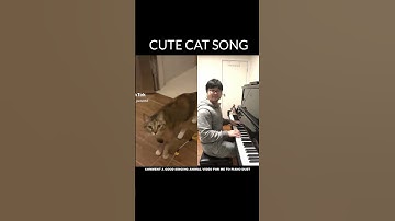 Piano Duet with Cat singing a Cute Playful Tune