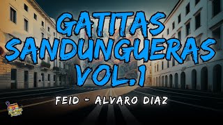 Feid, Alvaro Diaz - GATITAS SANDUNGUERAS VOL.1 Letra / Lyrics!