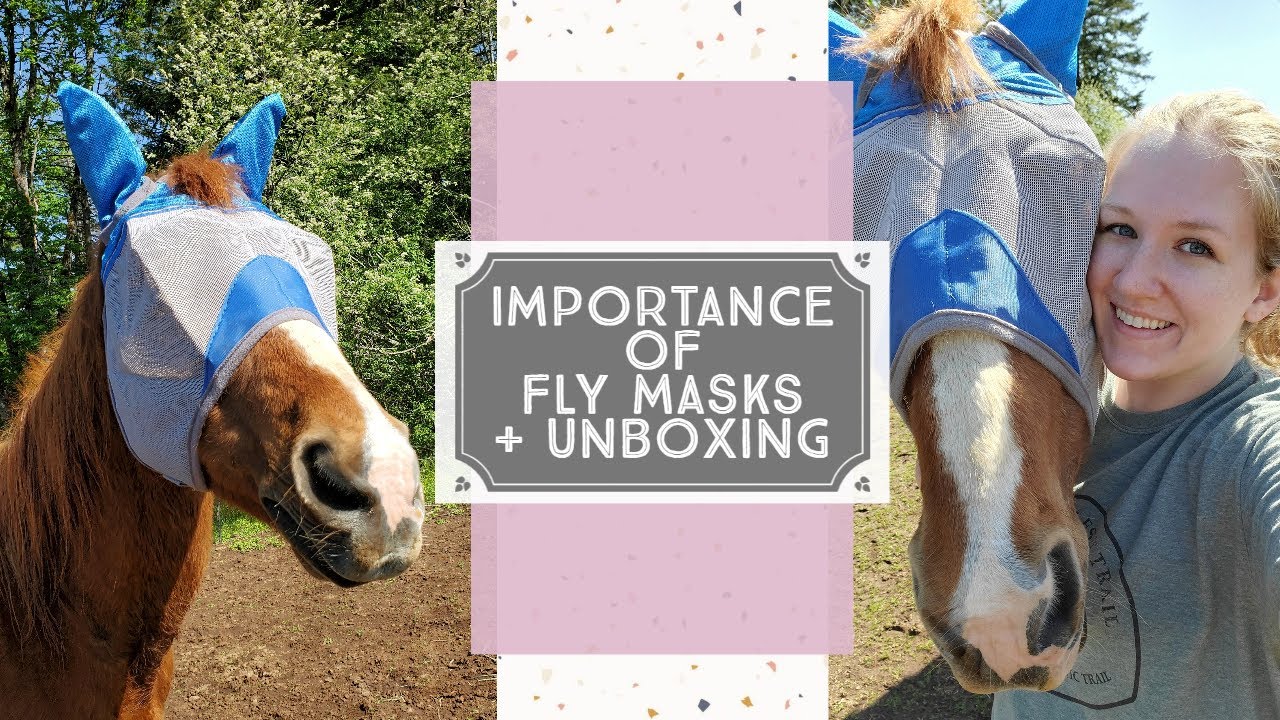 Importance of Fly Masks + Fly Mask Unboxing