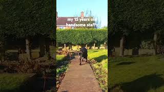 My 15 Years Old Beautiful