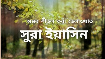 সূরা ইয়াসিন ( سوره ياسين) - অত্যন্ত দরদী তেলাওয়াত ।