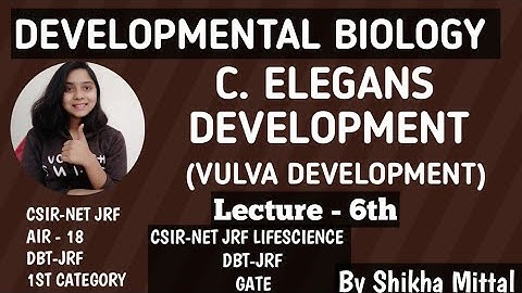 C. ELEGANS DEVELOPMENT(VULVA FORMATION)-LECTURE - 6th DEVELOPMENTAL BIOLOGY CSIR-NET JRF