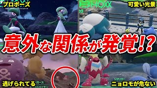 キタカミ図鑑で分かるポケモン同士の関係まとめ【碧の仮面】