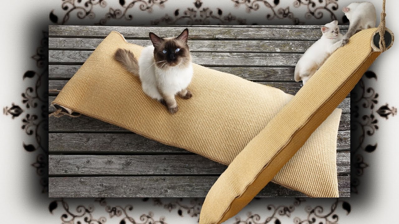 DIY 😻 Kletter Sack für Katzen climbing bag for cats YouTube