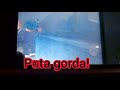 ....... video de prueba -_-