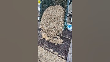 Resin Bound ASMR  #resinbound #homeimprovement #satisfying