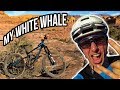 Captain Ahab Mountain Bike Trail In Moab Is Strange...