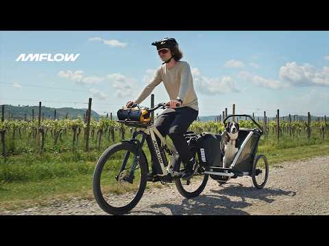 Amflow TL | One eMTB for City Rides, Trail Adventures & Loaded Rides