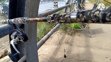 Điểm câu cá sông tự nhiên, câu cá ngát sông Nhà Bè