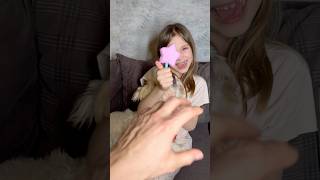 Sefailesi Köpeğim Dondurmamı Yedi Şfet