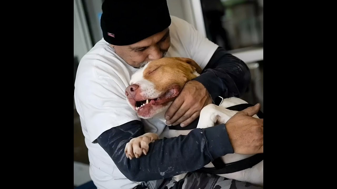 A touching reunion: how Lewis brought back his pit bull, Titus.