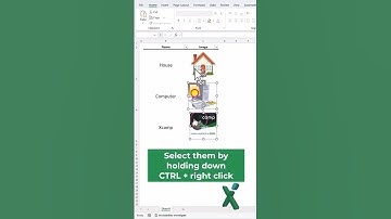 🇺🇸 EXCEL TIPS: 🖼 Filtering images #shorts