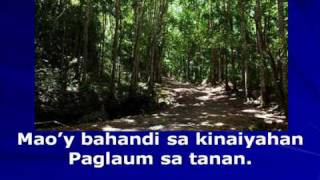 Video thumbnail of "awit sa valencia.wmv"