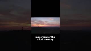 If You Have Intrusive Thoughts - Don't Fight Them | Mooji