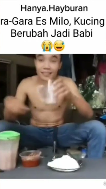 kucing jadi babi