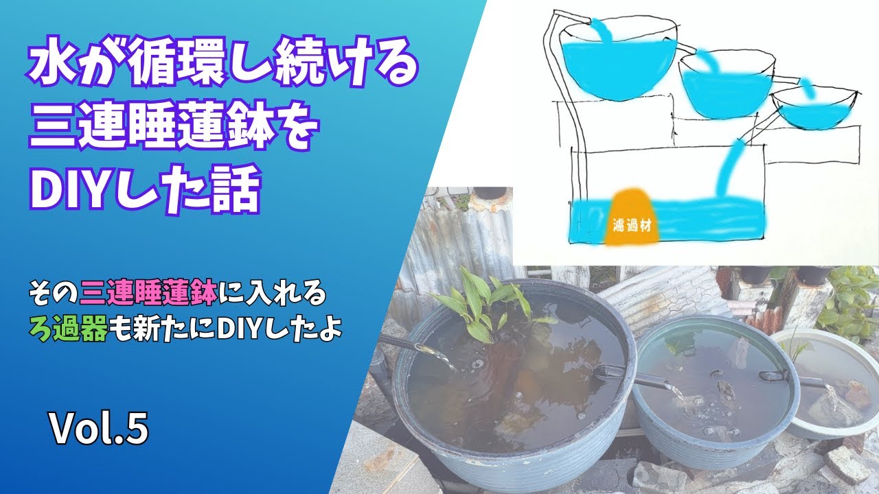 水が循環し続ける三連睡蓮鉢をDIYした話＃Vol.5 - YouTube