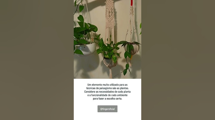 Dicas de paisagismo para usar na decoração dos ambientes da sua casa