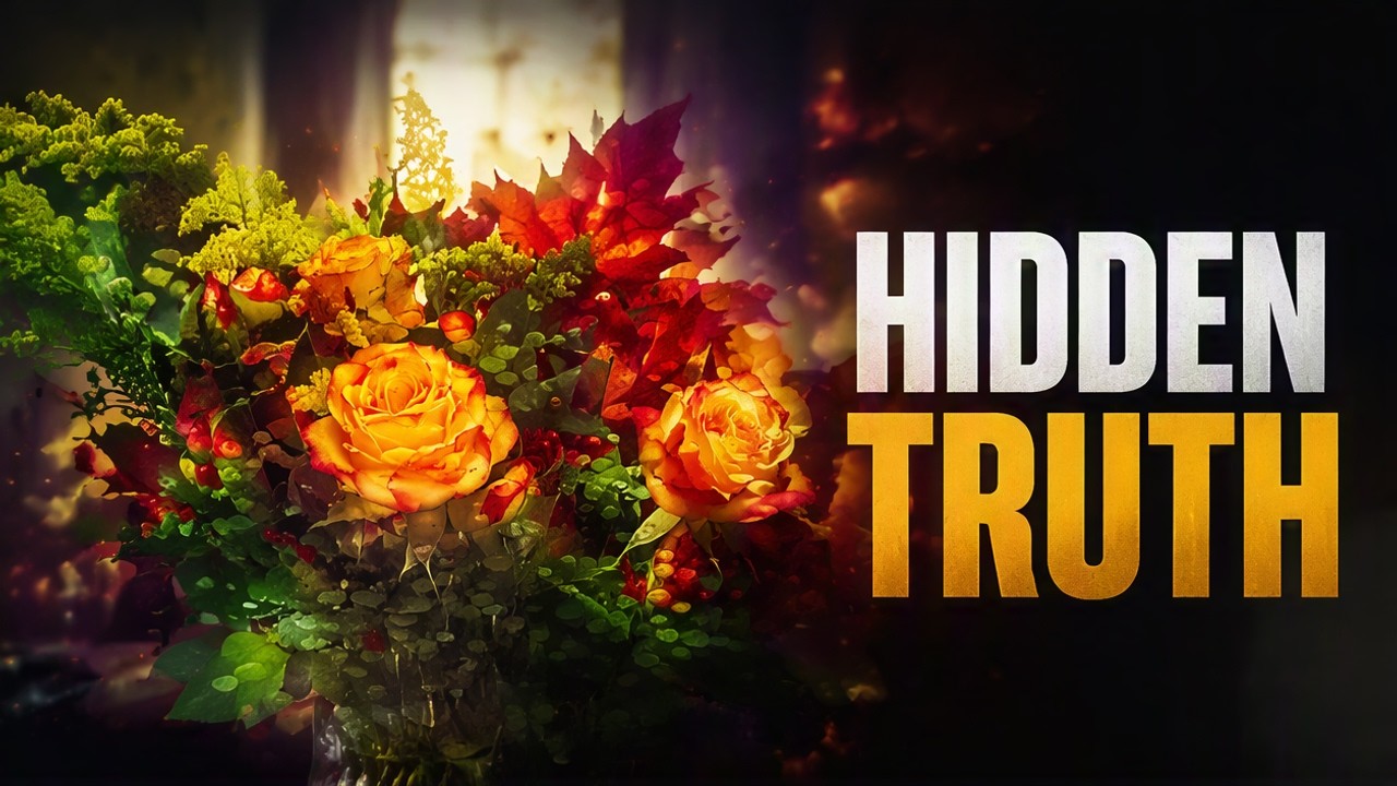 roses are not red - YouTube
