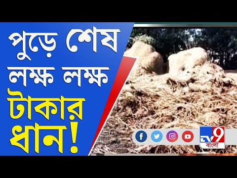 ভিডিও: অ-মানক মাকো: কীভাবে 