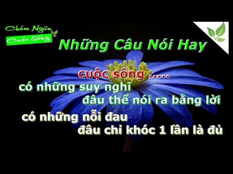 Video: Những câu nói hay về nỗi buồn