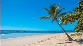 Skank - As Melhores!