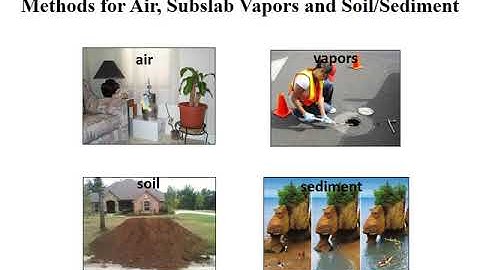 Fake Data? Sampling Theory and Environmental Investigations (July 16, 2019)