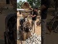 Mechanical homemade machine coins turn into notes