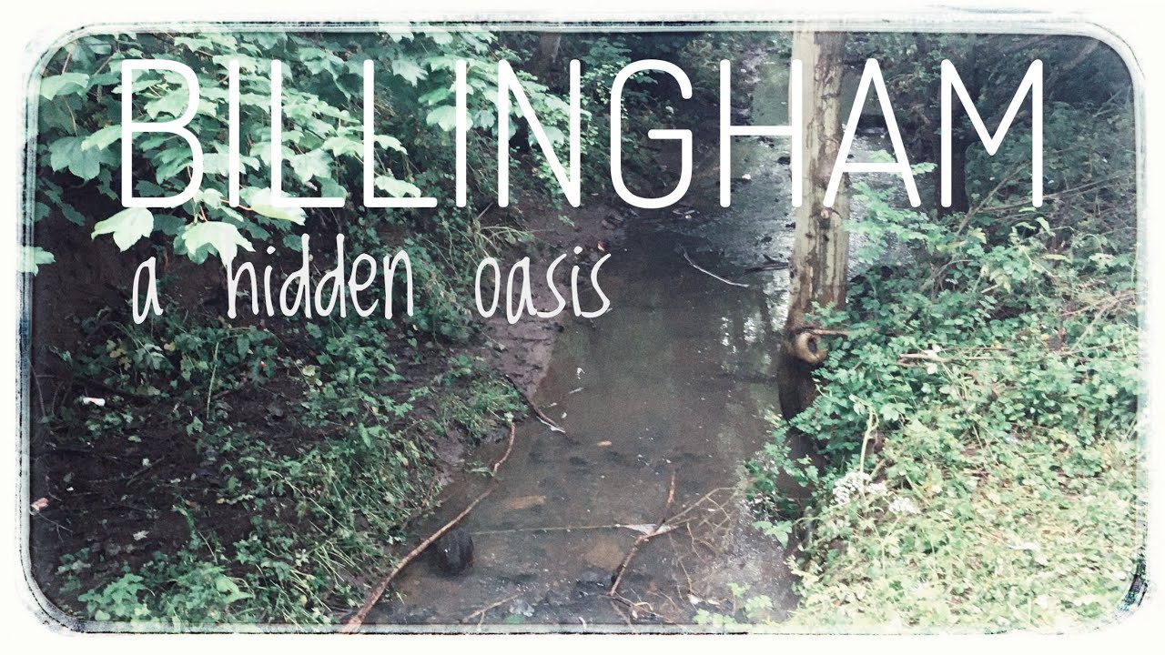 BILLINGHAM [a little hidden walkway] walkthrough