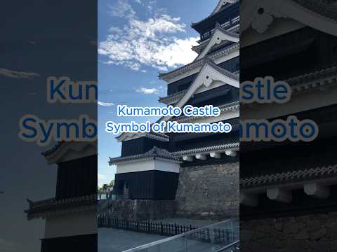 The symbol of Kumamoto is...? #KumamotoCastle #japanlife #kumamoto