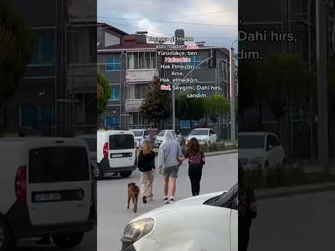 Ecrin Su Çoban ve Furkan Efe Çetinkaya işte o video..
