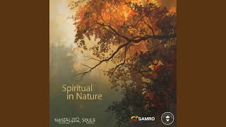 Spiritual In Nature (Radio Edit)