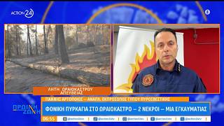 Τα επιχειρησιακά δεδομένα από τον εκπρόσωπο τύπου της πυροσβεστικής για την φωτιά στο Ωραιόκαστρο