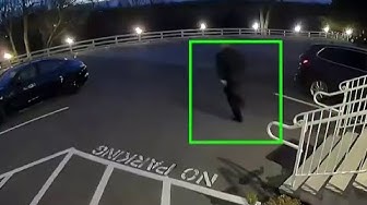 Thumbnail for Manhunt underway after two people allegedly steal $40k in wine