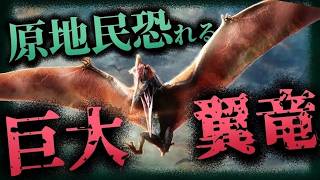 【未確認生物 UMA】現代に残る翼竜⁉アフリカに伝わる伝説の未確認生物「オリチアウ・コンガマトー」