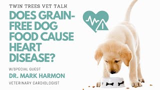 IT'S NOT OVER! Grain Free Dog Food & Heart Disease│Twin Trees Vet Talk (FREE VET ADVICE PODCAST)