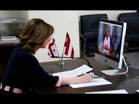ეკატერინე ტიკარაძემ ავსტრიის ჯანდაცვის მინისტრთან ონლაინ შეხვედრა გამართა