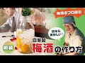 【梅酒の作り方】プロによる自宅用梅酒漬け込みセミナー‼︎✨【おうち時間】