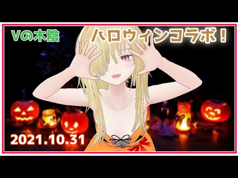 【Minecraft】特務任務「ハロウィンでエンドラを討伐せよ」【フィーネ視点 #Vの木陰】