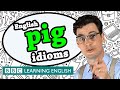 Pig idioms - Learn English idioms with The Teacher