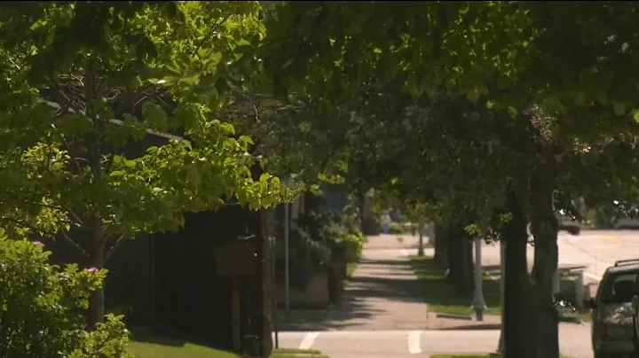 Minnesota DNR opens $12M urban forest grant program