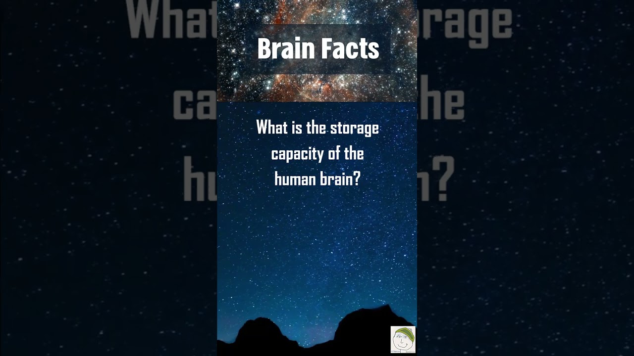 Brain Storage Capacity