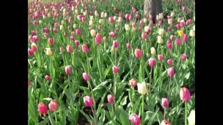 Lets Start Nostalgic